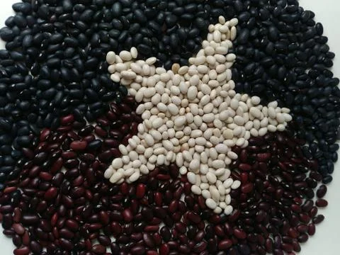 Star of white beans in a circle of black and red beans. top view. flat layout Stock Photos