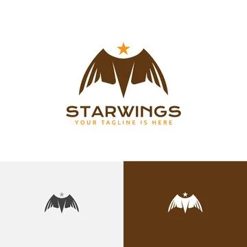 Star Wings Hawk Eagle Falcon Predator Bird Logo Template Stock Illustration