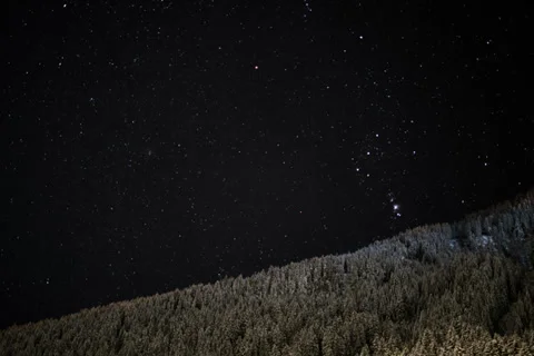 Star winter forest time lapse 6K native Stock Footage 36372877
