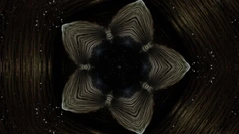 Star Wire Kaleidoscope Stock Footage 246367032