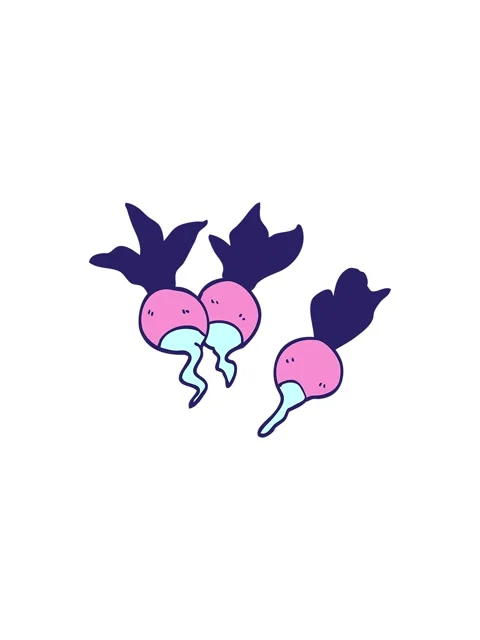 Starburst effect animation of cartoon doodle healthy radish Stock Footage 324345857