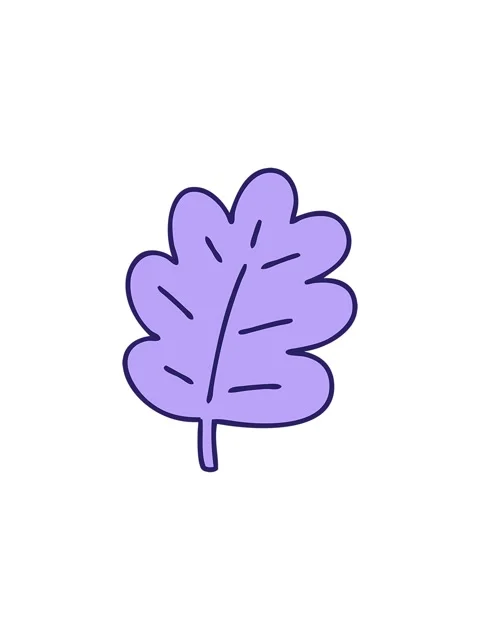 Starburst effect animation of cartoon of a simple yet magnificent leaf Video stock 324207822