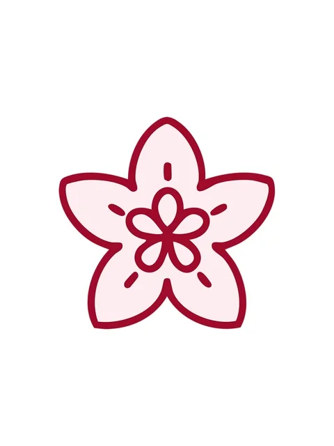 Starburst effect animation of singular japanese style flower design Stock Footage 324460917
