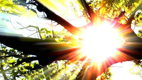 Starburst Sunrays Stock Footage 176908898