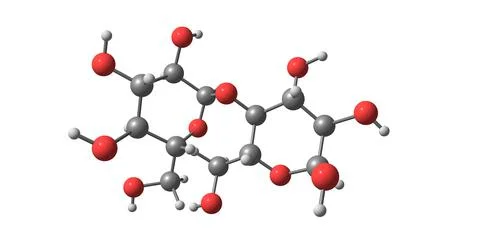 Starch molecular structure isolated on white Stock Illustration