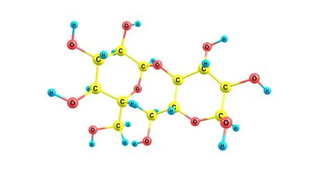 Starch molecular structure isolated on white Stock Illustration