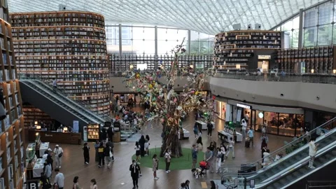 Starfield Library timelapse Video stock 244965375