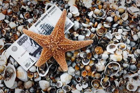 Starfish with 500 Ruble Note on a Bed of Seashells Stock Photos