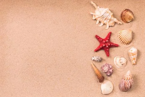 Starfish and beautiful shells on the sand, background for travel advertising, Stock Photos