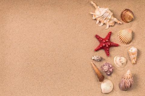Starfish and beautiful shells on the sand, background for travel advertising, le Stock Photos