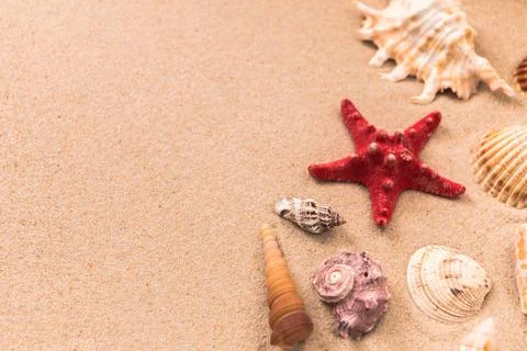 Starfish and beautiful shells on the sand, background for travel advertising, Foto stock