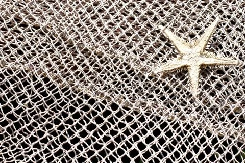 Starfish and fishnet background Stock Photos