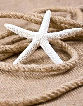 Starfish and rope Stock Photos