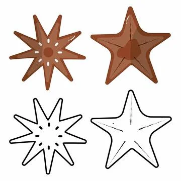 Starfish and sea star vector icons set イラスト素材