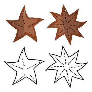 Starfish and sea star vector icons set イラスト素材
