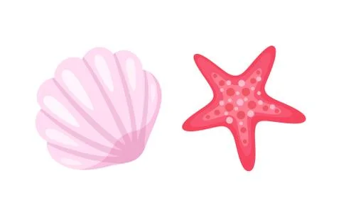 Starfish and Seashell, Conch Closeup Mollusk Set Stock Illustration