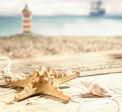 Starfish and a seashell Stock Photos