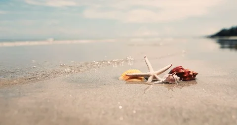 Starfish and seashell on sand beach , fresh tropical summer background   , 4K Stock Footage 92574815