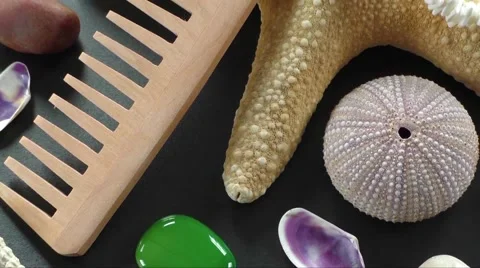 Starfish and seashells on black background Stock Footage 61187453
