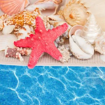 Starfish and seashells border Stock Illustration
