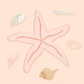 Starfish and seashells 스톡 일러스트