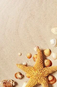 Starfish and seashells on the sandy beach. Summer background. Foto stock