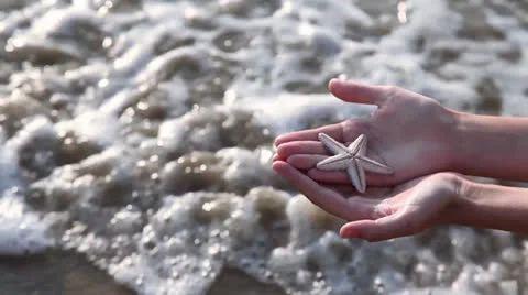 Starfish and shell in hand Stock Footage 26369668