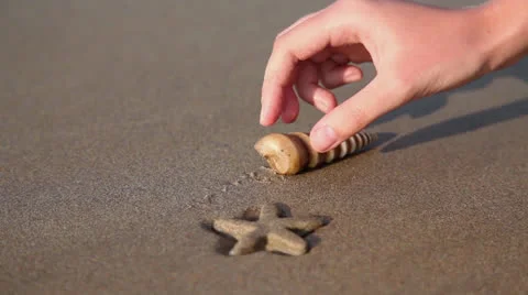 Starfish and shell in hand Stock Footage 26369946