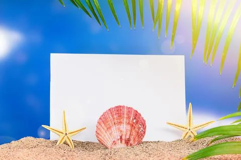Starfish and shell on sand with sheet of paper for text, palm branches Stock Photos