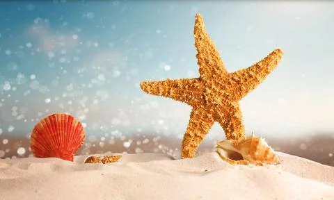 Starfish and shell on sandy beach with blurred background Stock Photos