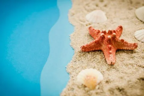 Starfish and shells on the beach Stock Photos