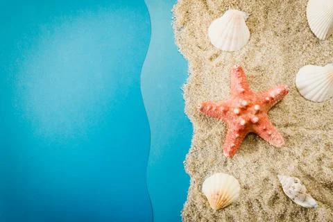 Starfish and shells on the beach Stock Photos