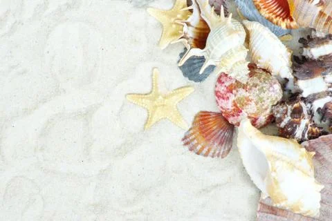 Starfish and shells Stock Photos