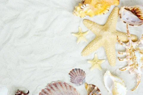 Starfish and shells Stock Photos