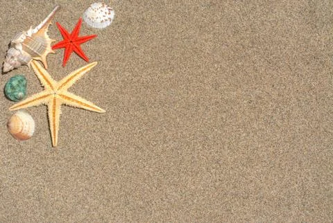 Starfish and shells Stock Photos