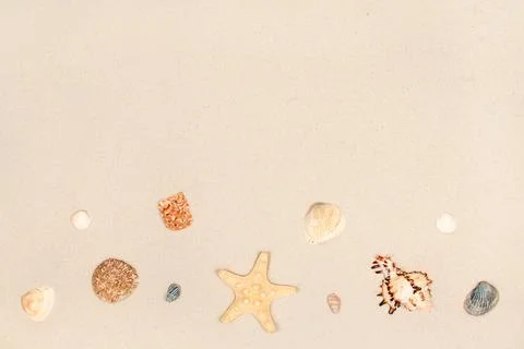 Starfish and shells on the sand as a background. Copyspace. Summer beach. Stock-Fotos
