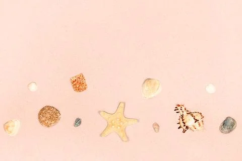 Starfish and shells on the sand as a background. Demonstrating color of 2025 Stockfoto's