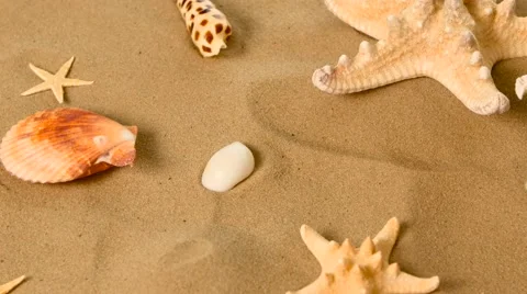 Starfish and shells on sand, rotation, closeup Stock Footage 60774576