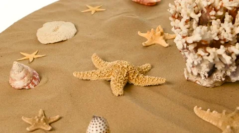 Starfish and shells on sand, white, rotation Stock Footage 60774123