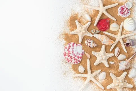 Starfish and various beautiful shells on the beach sand on a light background Stock Photos