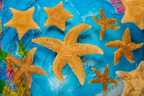 Starfish on the background of the globe. Foto stock