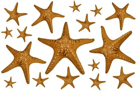 Starfish background Stock Photos
