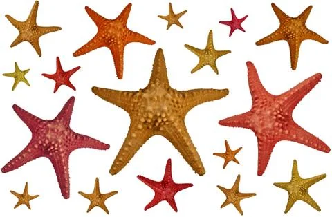 Starfish background Stock Photos