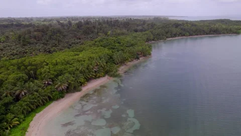 Starfish Beach bordered by dense tropical forest on Isla Colon Vídeo Stock 345631266