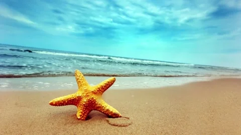 Starfish on the beach with clouds Stock Footage 62681122