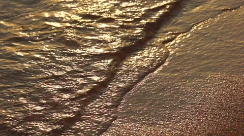 Starfish on Beach 库存影片 22788111