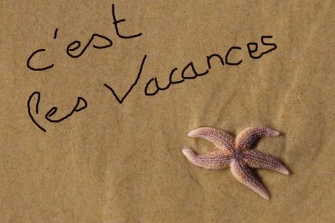 Starfish on the beach Stock Illustration