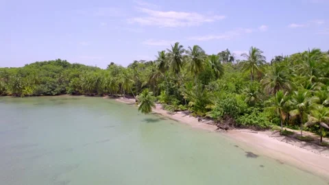 Starfish Beach on Isla Colon bordered by palms and Caribbean water Vídeo Stock 345630910