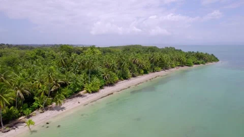 Starfish Beach on Isla Colon with palms by clear Caribbean water Vídeo Stock 345630882