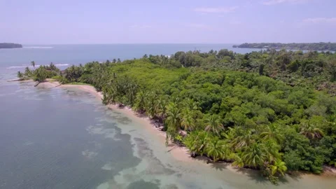 Starfish Beach on Isla Colon where rainforest meets Caribbean coast Vídeo Stock 345631527